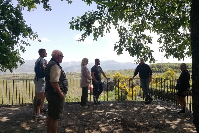 Etna Wine And Taormina From Messina - Who should book this Etna and Taormina day trip