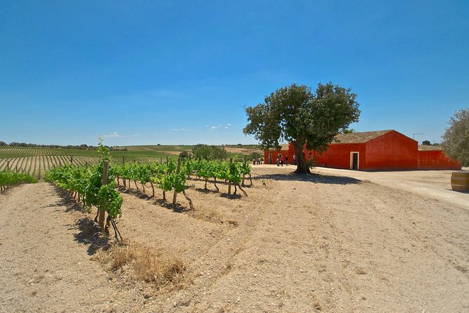 Etna Wine & Food Volcanic Week Grand Tour (Private) - Southern Slopes and the Cableway Station: Another Etna Personality