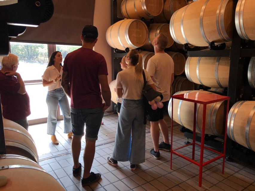 Etna & Wine Private Day Tour - Family-Run Volcanic Winery Visits (What You’ll Actually See)