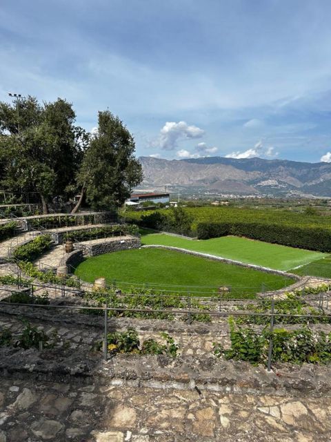 Etna: Wine Tasting and Food Tour - After lunch: vineyard walks and the “how it’s made here” lesson