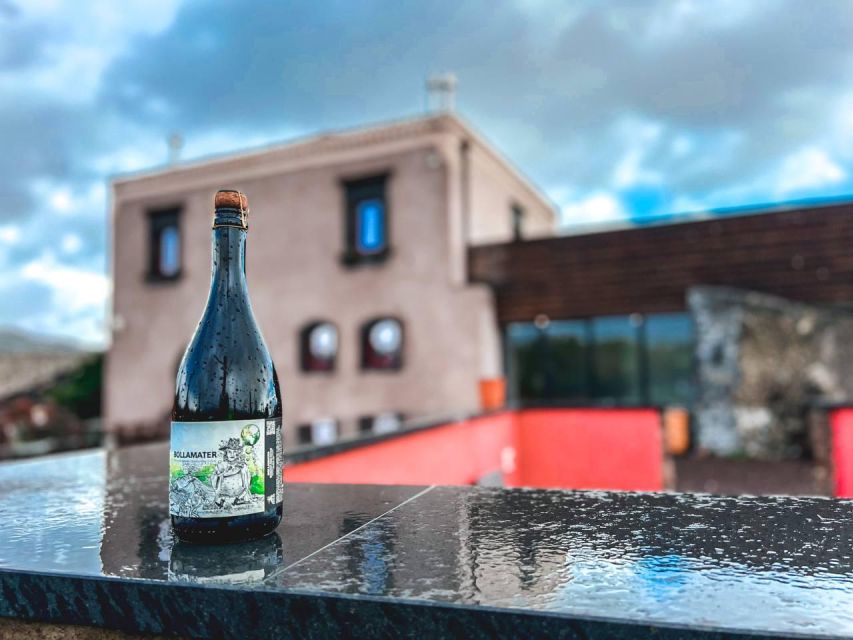Etna: Wine Tasting and Food Tour - Who this tour suits best (and who should think twice)