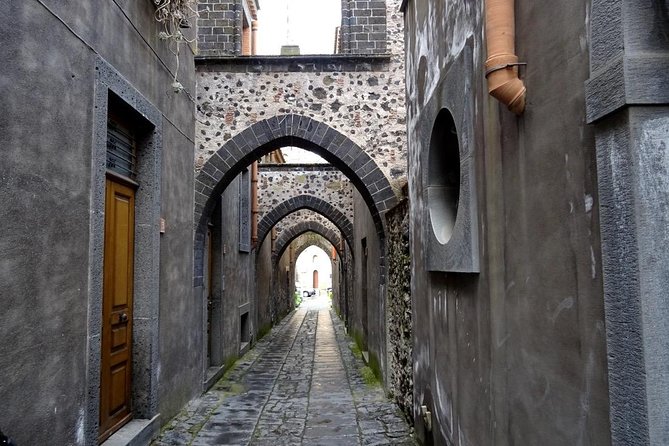 Etna Wine Tasting and Train Tour - Inside the winery: vineyards, cellars, and guided tasting flow
