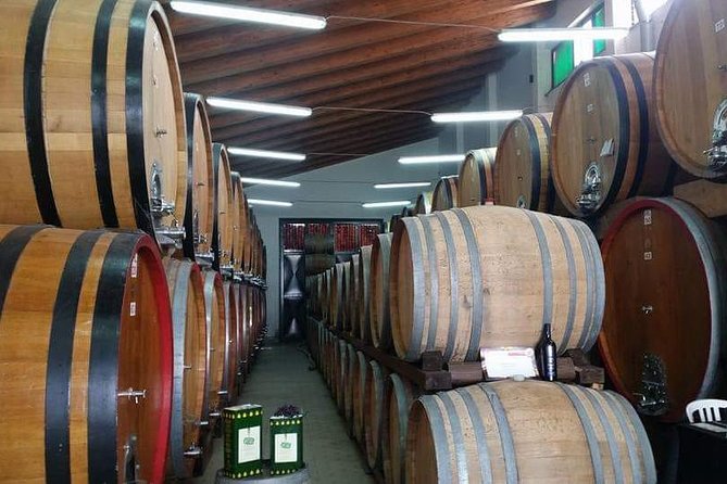 Etna Wine Tasting & Sicilian Lunch –Small Group Tour from Catania - Key things worth knowing before you go