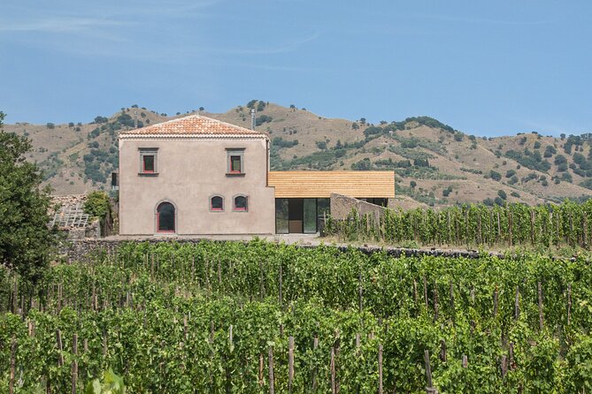 Etna Wine Tasting & Sicilian Lunch –Small Group Tour from Catania - Emilio Sciacca / Palmento Martinella: the full lunch and Etna DOC pairings