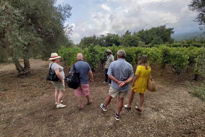 Etna Wineries Tour - Small Groups from Taormina - Taormina pickup, 9:00am start, and what the small group really means