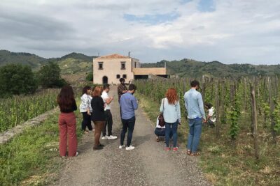 Etna Wineries Tour - Small Groups from Taormina - Two Etna North cellar visits: tastings are the main event, not a factory tour