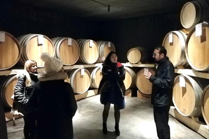 Etna Wineries Tour - Small Groups from Taormina - The guide experience: Roberto, Tony, Giuseppe, Nicola set the tone