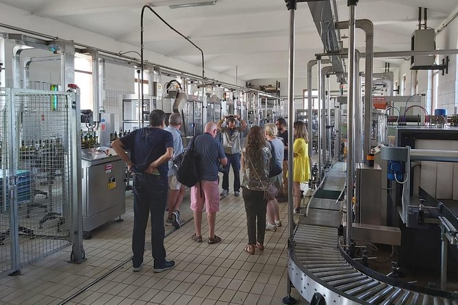 Etna Wineries Tour - Small Groups from Taormina - Who should book this Etna wineries tour (and who should think twice)