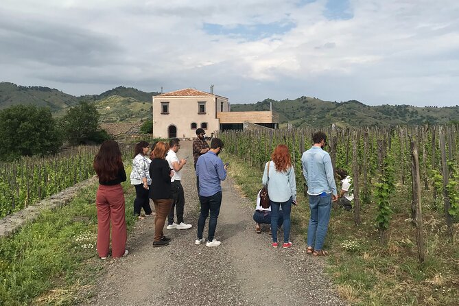 Etna Wineries Tour - Small Groups from Taormina - Two Etna North cellar visits: tastings are the main event, not a factory tour