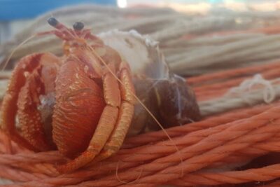 Fishing excursion in the Gulf of Noto for beginners - Beginner Coaching on the Water: What the Skipper Actually Does