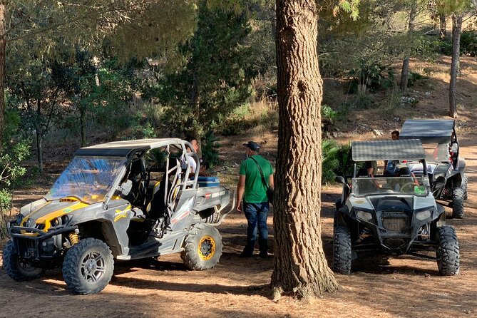 five sense outdoor experience - Stop 3: Monte Pispisa forest walk and the palms used by ancient people