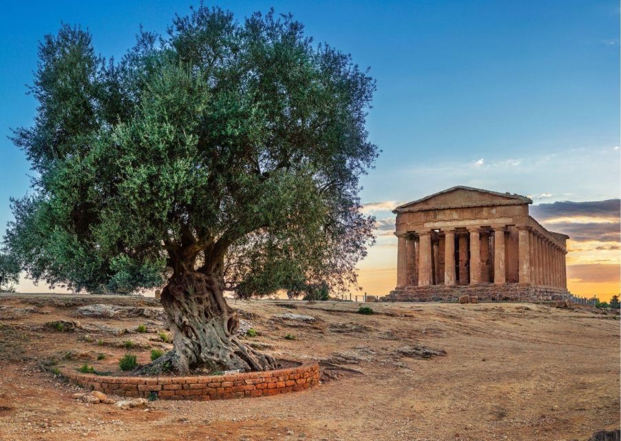 From Agrigento to Siracusa: Valley of Temples & Roman Villa - Pickup, van comfort, and the real role of the English driver