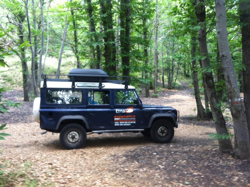 From Catania: 4x4 Mt Etna Jeep Tour - Valle del Bove: seeing the scale of recent lava flows