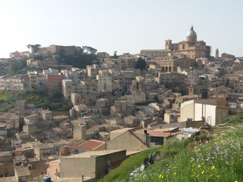 From Catania: Agrigento and Piazza Armerina Full-Day Trip - Quick tips to make the day smoother