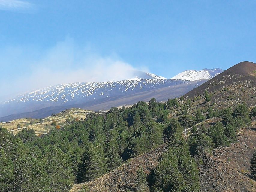 From Catania: Etna & Taormina Day Trip - Taormina after Etna: quick stroll, Island Park stop, and easy photo time