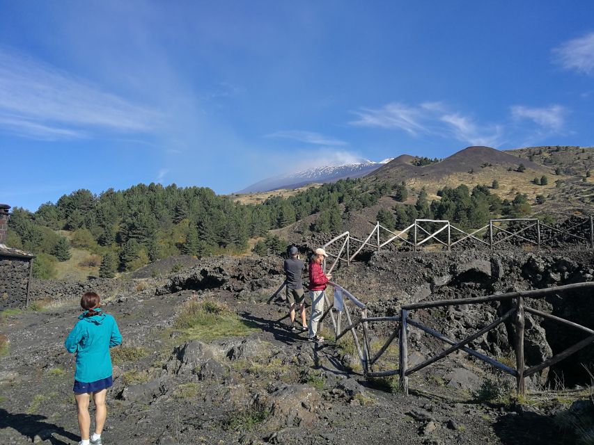 From Catania: Etna & Taormina Day Trip - Price and value: what you’re actually paying for on this 8-hour plan