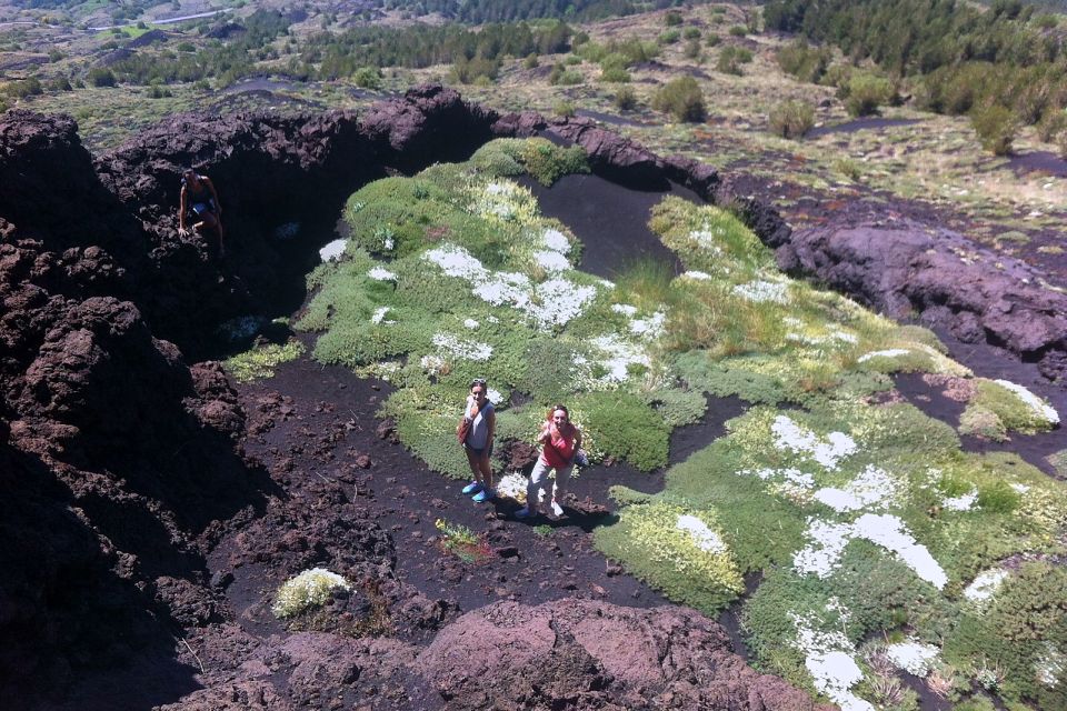 From Catania: Mount Etna Half-Day Tour and Wine Experience - Guided Crater Trek on Etna: How the Walk Really Feels