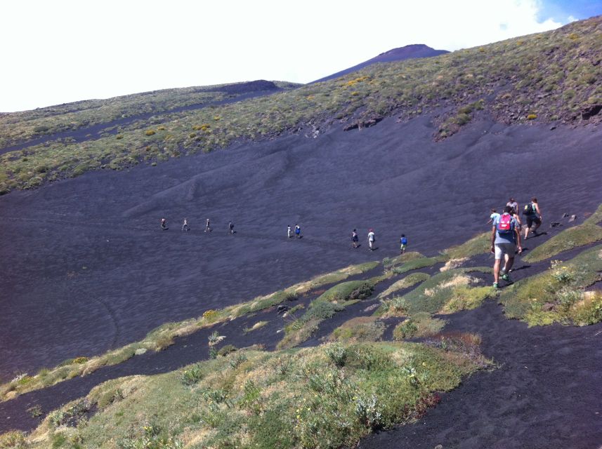 From Catania: Mount Etna Half-Day Tour and Wine Experience - What You’ll See: Craters, Lava Flows, and Big-View Payoff