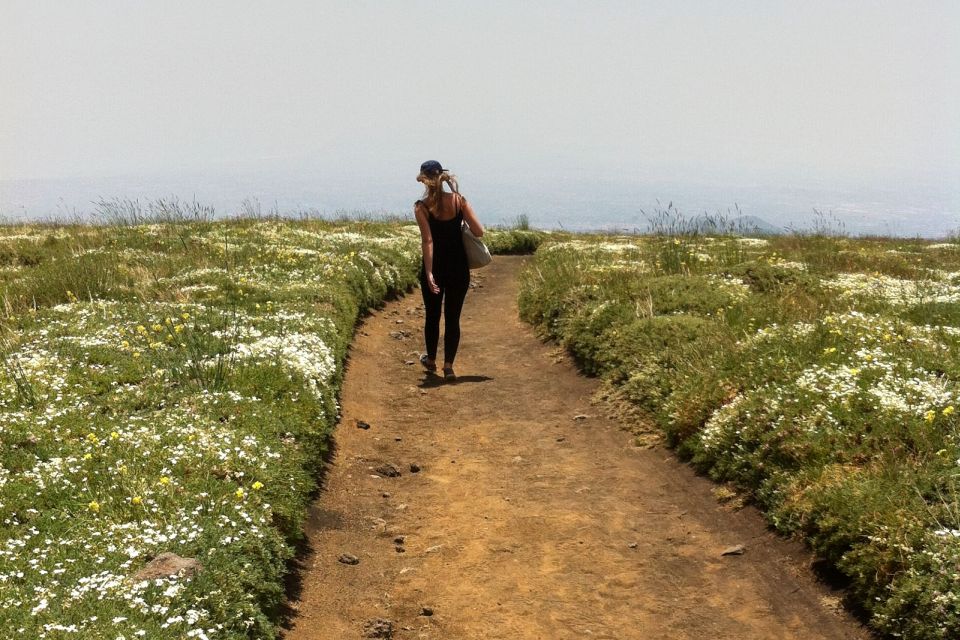 From Catania: Mount Etna Half-Day Tour and Wine Experience - The Zafferana Etnea Wine Stop: Volcanic Soil to Your Glass