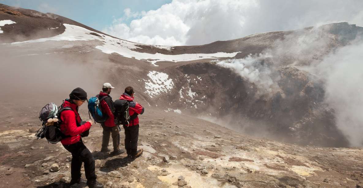 From Catania: Mt. Etna Half Day Morning Tour - The Monti Silvestri crater area: why extinct zones are so interesting