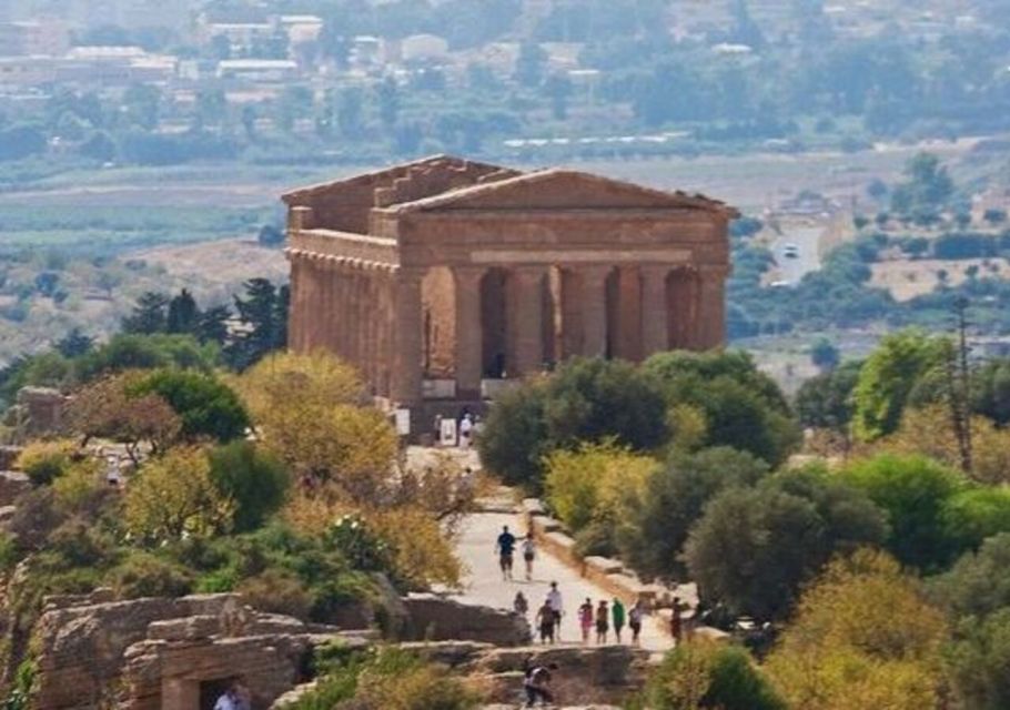 From Catania or Taormina: Agrigento and Piazza Armerina Tour - The driver’s role: stories, time to walk, and local context