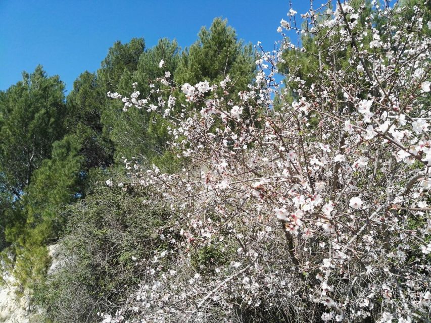 From Catania: Pantalica & Sortino Guided Tour - Value Check: Is $115.55 Good Value From Catania?