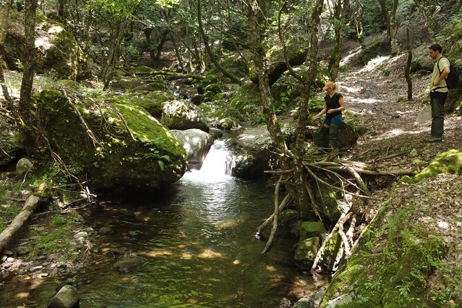 From Catania, Syracuse and Taormina: fly fishing experience - A 9-hour Sicilian fly-fishing day that starts at 8:30