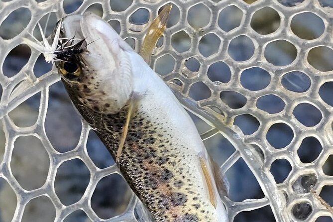 From Catania, Syracuse and Taormina: fly fishing experience - Where EtnaTribe shines: outdoors plus instruction (and optional add-ons)