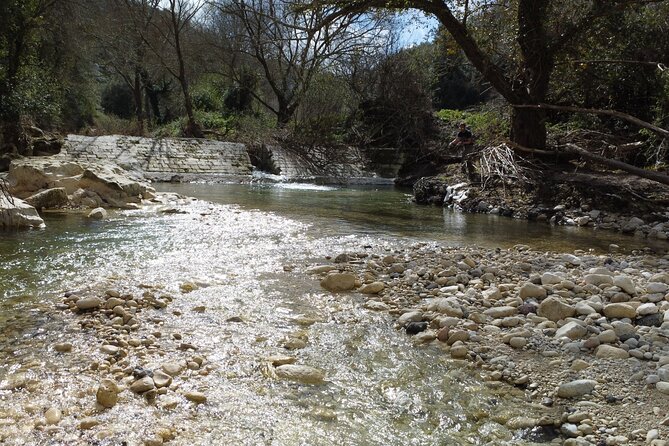 From Catania, Syracuse and Taormina: fly fishing experience - Small-group guidance: where the real value shows up