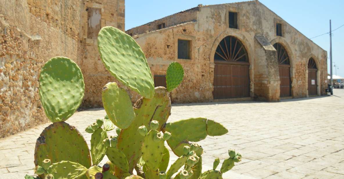 From Catania: Syracuse, Ortigia & Marzamemi Full-day Tour - From Duomo Square to Neapolis: how the 9 hours break down