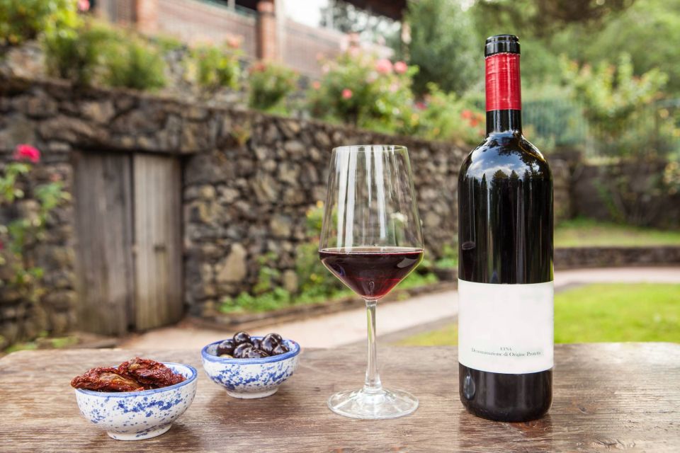 From Catania/Taormina: Mount Etna Private Wine Tasting Tour - The Drive Times That Shape the Day