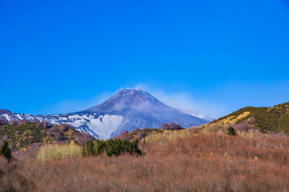 From Catania/Taormina: Mount Etna Private Wine Tasting Tour - What’s Included (and What Isn’t) So You’re Not Guessing