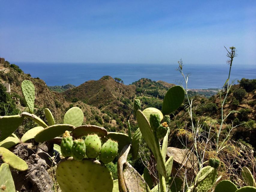 From Catania: The Godfather Movie Day Trip in Sicily - Price and value at $115.55: what you’re actually buying