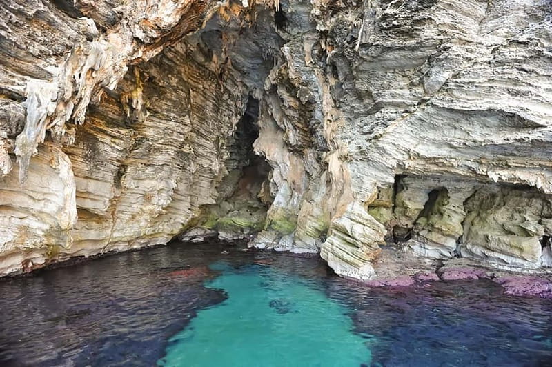 From Cefalù: Catamaran Excursion to Zingaro and Scopello - Value for $124.61: what you’re really paying for