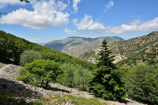 From Cefalu: Gratteri and Castelbuono, Sicilian villages and aperitif - The included Sicilian aperitif: Fiasconaro panettone and local specialties