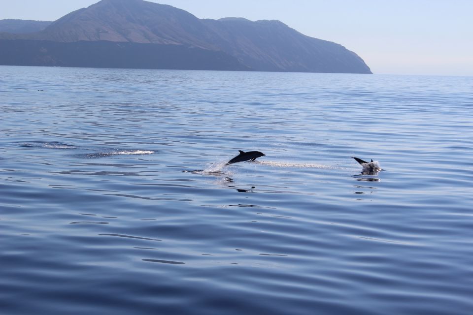 From Cefalù: Salina, Panarea, Stromboli Tour with Boat Ride - The logistics that can make or break your day