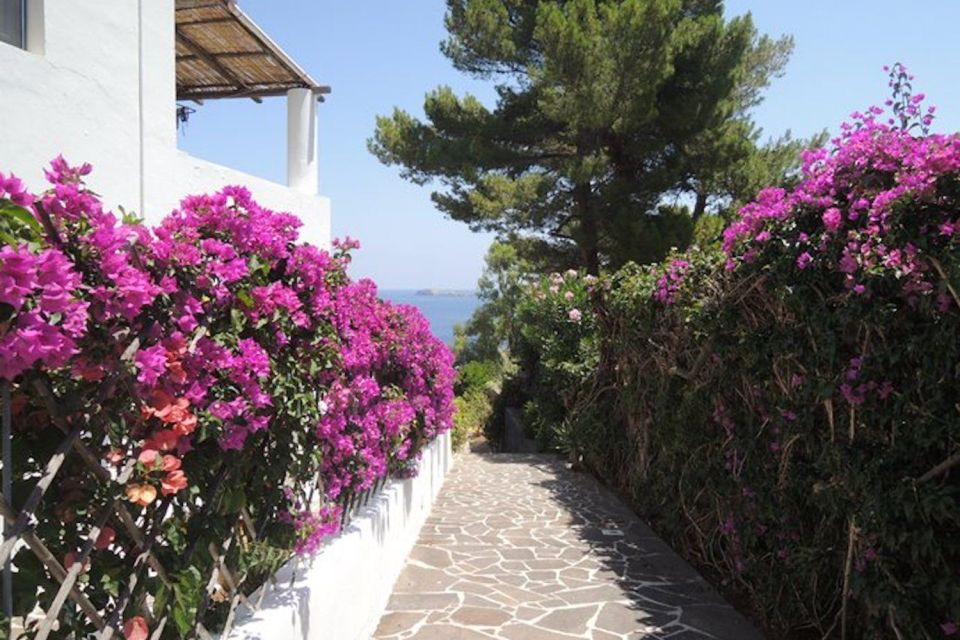 From Lipari: Panarea and Stromboli Cruise with Stops - Stromboli on the ground: wild colors, white buildings, and time to explore