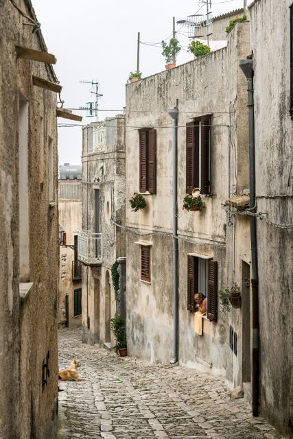 From Palermo: Day Trip to Erice, Segesta and Salt Pans - Should you book this tour?