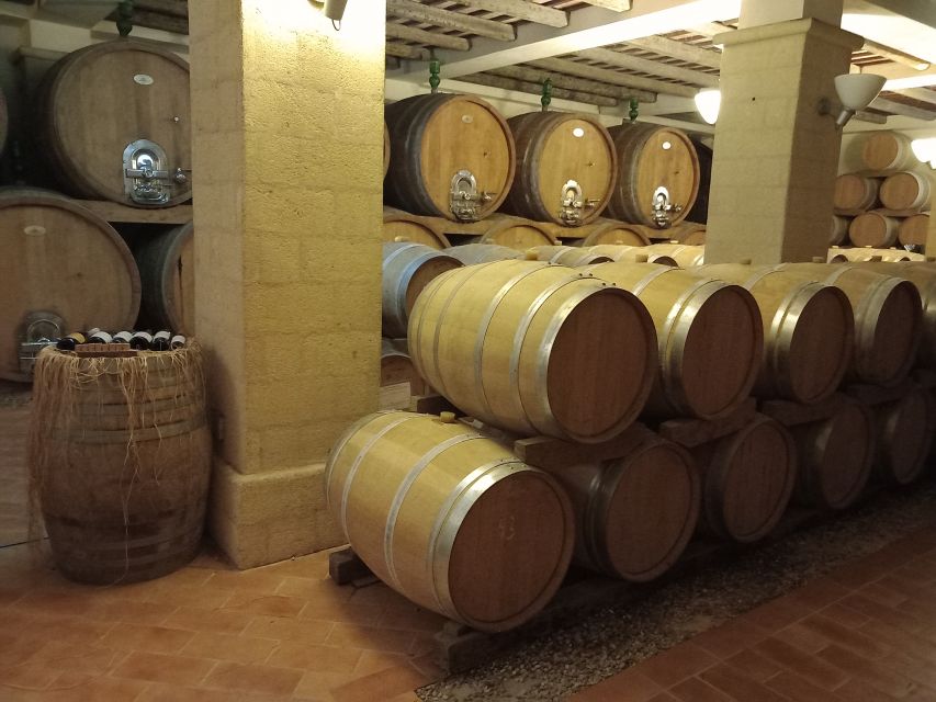 From Palermo: Erice and Marsala Day Trip with Lunch - Key highlights worth your attention