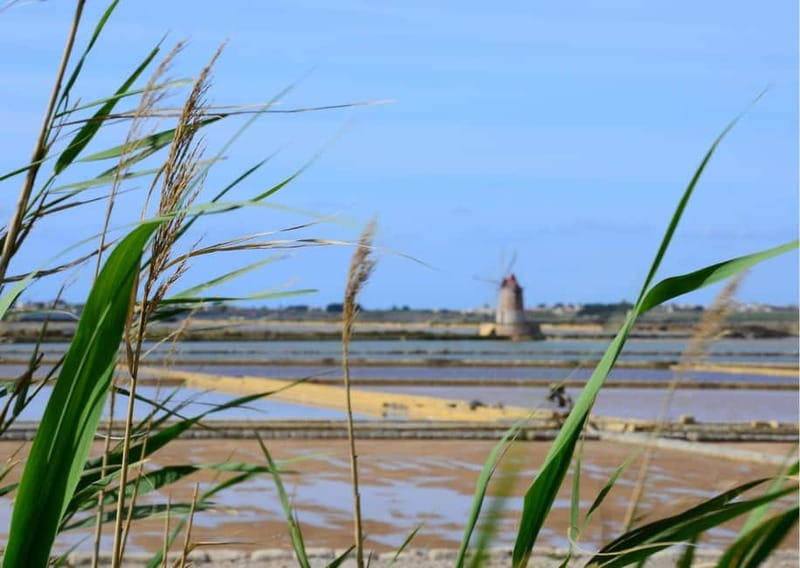 From Palermo: Erice & Marsala Salt, Olive Oil, and Wine Tour - Saltpans along the Salt Way Road: sea-salt made the old way