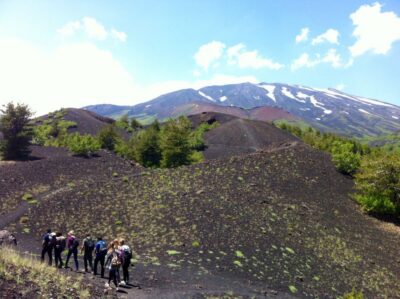 From Syracuse: Etna Tour with Light Lunch and Wine Tasting - Walking the Southern Slope: From 2001–2002 Lava to 2000-Meter “Moon” Ground