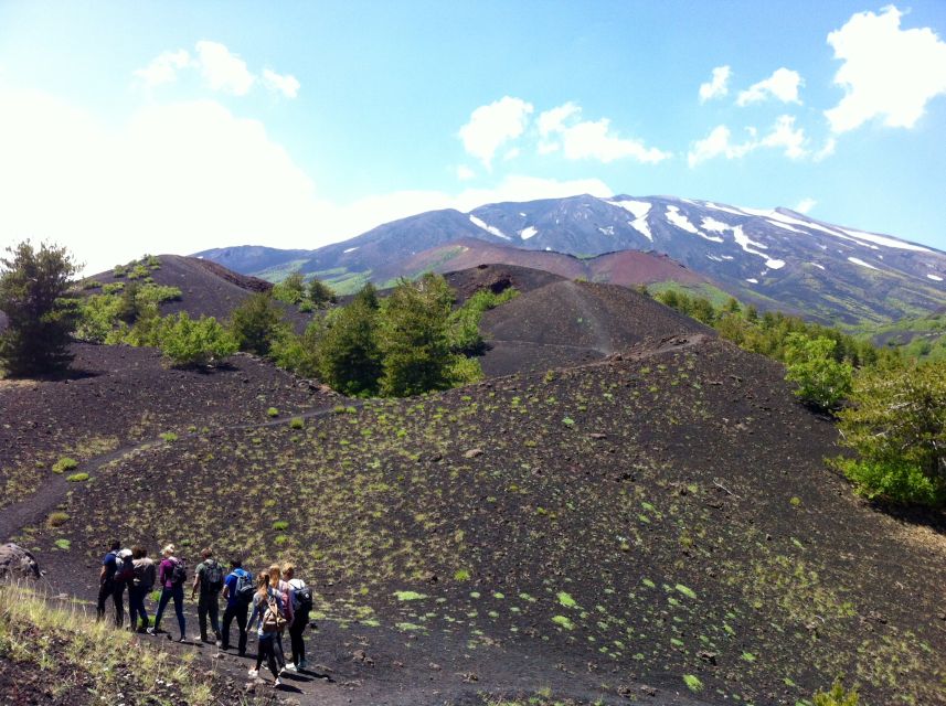 From Syracuse: Etna Tour with Light Lunch and Wine Tasting - Walking the Southern Slope: From 2001–2002 Lava to 2000-Meter “Moon” Ground