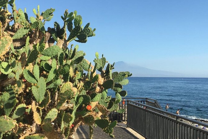 From Syracuse: Ortigia Bike Tour - PRIVATE - Bikes, Helmets, and How Much Effort You’ll Really Put In