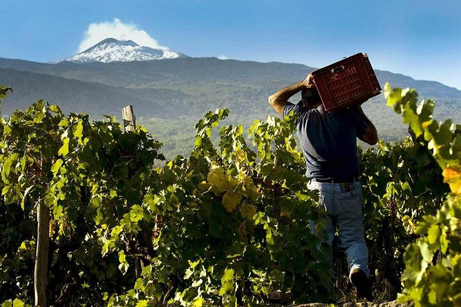 From Syracuse: Private Tour Mount Etna with Lunch at Etna Winery - Lunch at an Etna Winery: Tour, Tastings, and Real Local Food