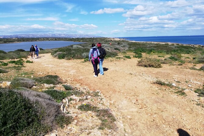 From Syracuse: Vendicari natural reserve - PRIVATE - Why Vendicari Makes a Strong Half-Day Choice
