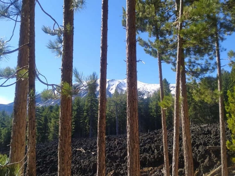 From Taormina: Etna Walking Tour and Wine Tasting in Winery - Key Things That Make This Etna + Winery Tour Worth It
