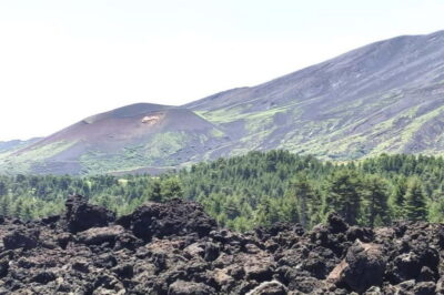 From Taormina: Etna Walking Tour and Wine Tasting in Winery - The Ride Up: Comfort Matters on a Twisty Volcano Road