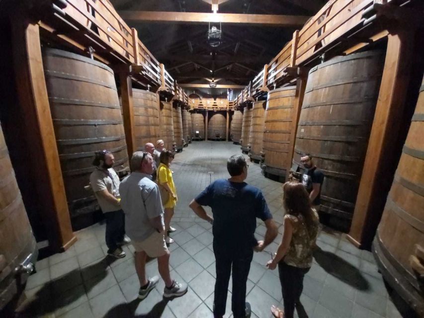 From Taormina: Etna Wineries Small Group Tour - Stop 1 at the first Etna winery: tastings plus a vineyard look