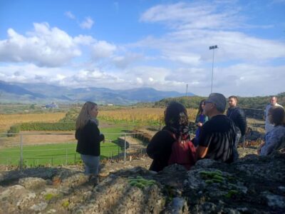 From Taormina: Etna Wineries Small Group Tour - The 9-seater van ride from Taormina (and how to use it)