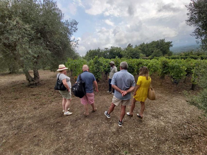 From Taormina: Etna Wineries Small Group Tour - Castiglione break: the best use of your hour